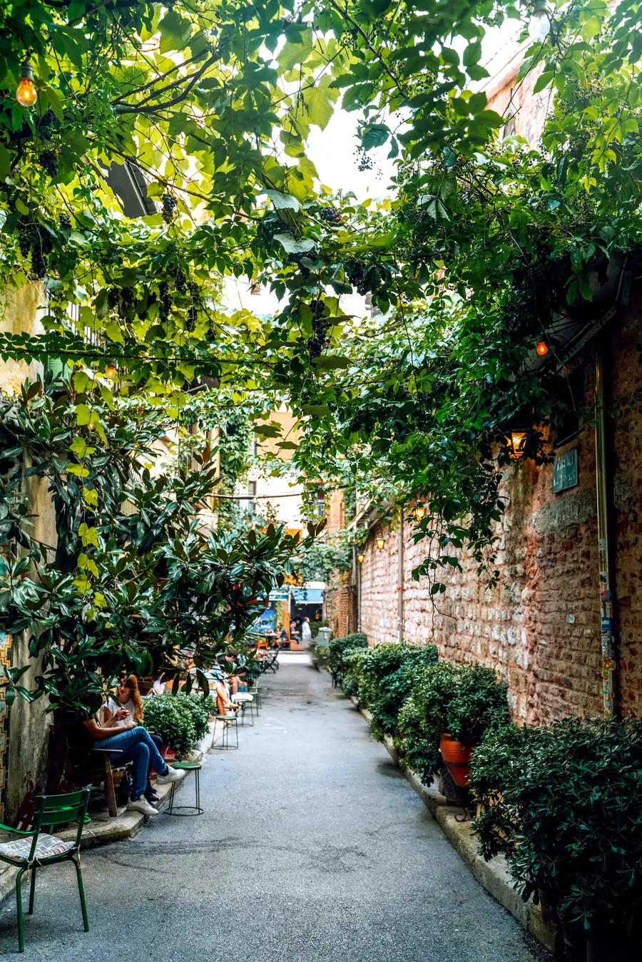 The vine-shaded street outside the hotel in Karaköy, İstanbul